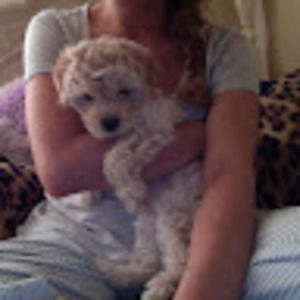 Meet your Posher, Jara